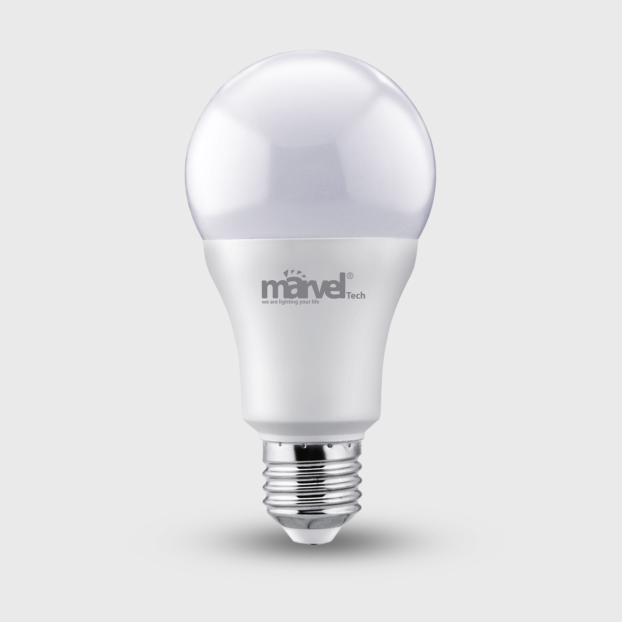 MS-22018 LED Bulb Light 15W WW